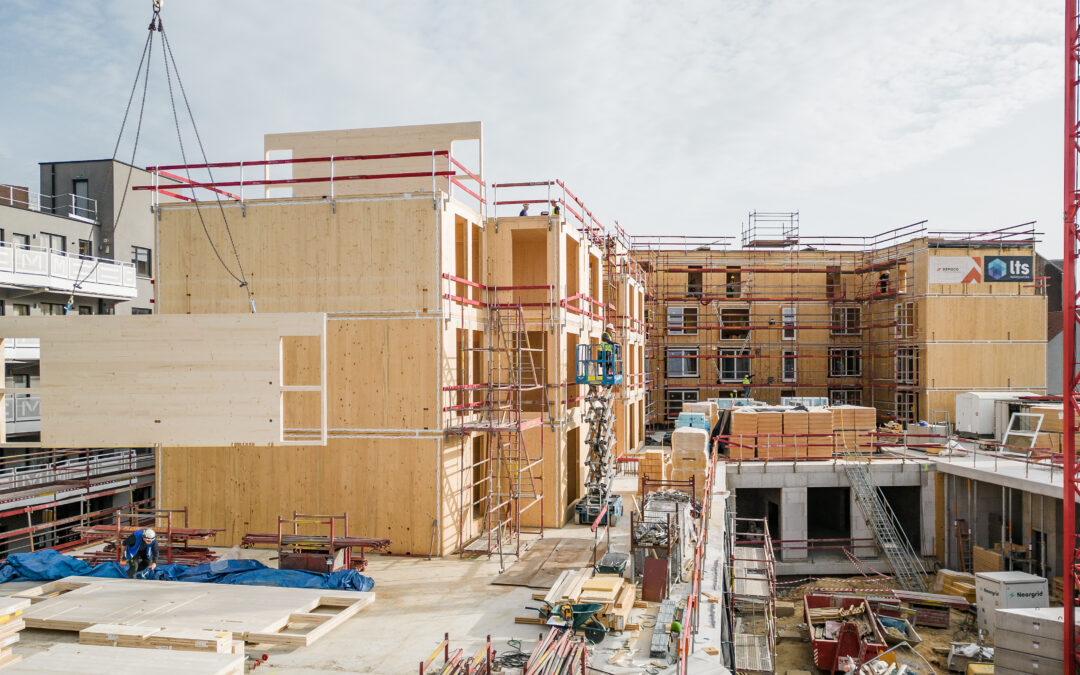 Innovative Construction: the beauty and strength of CLT for a greener future